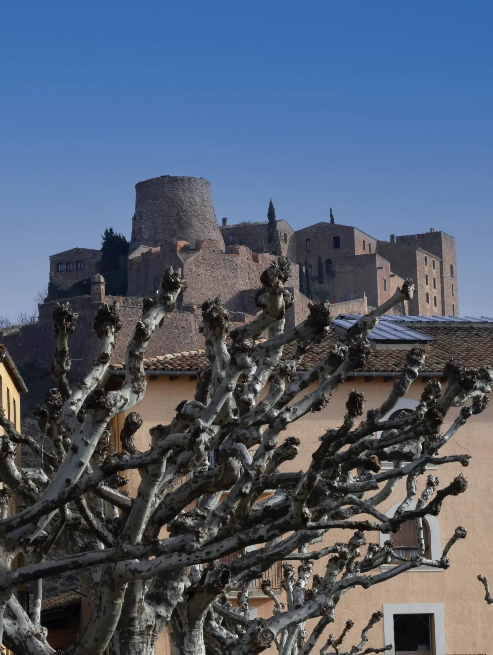 cardona