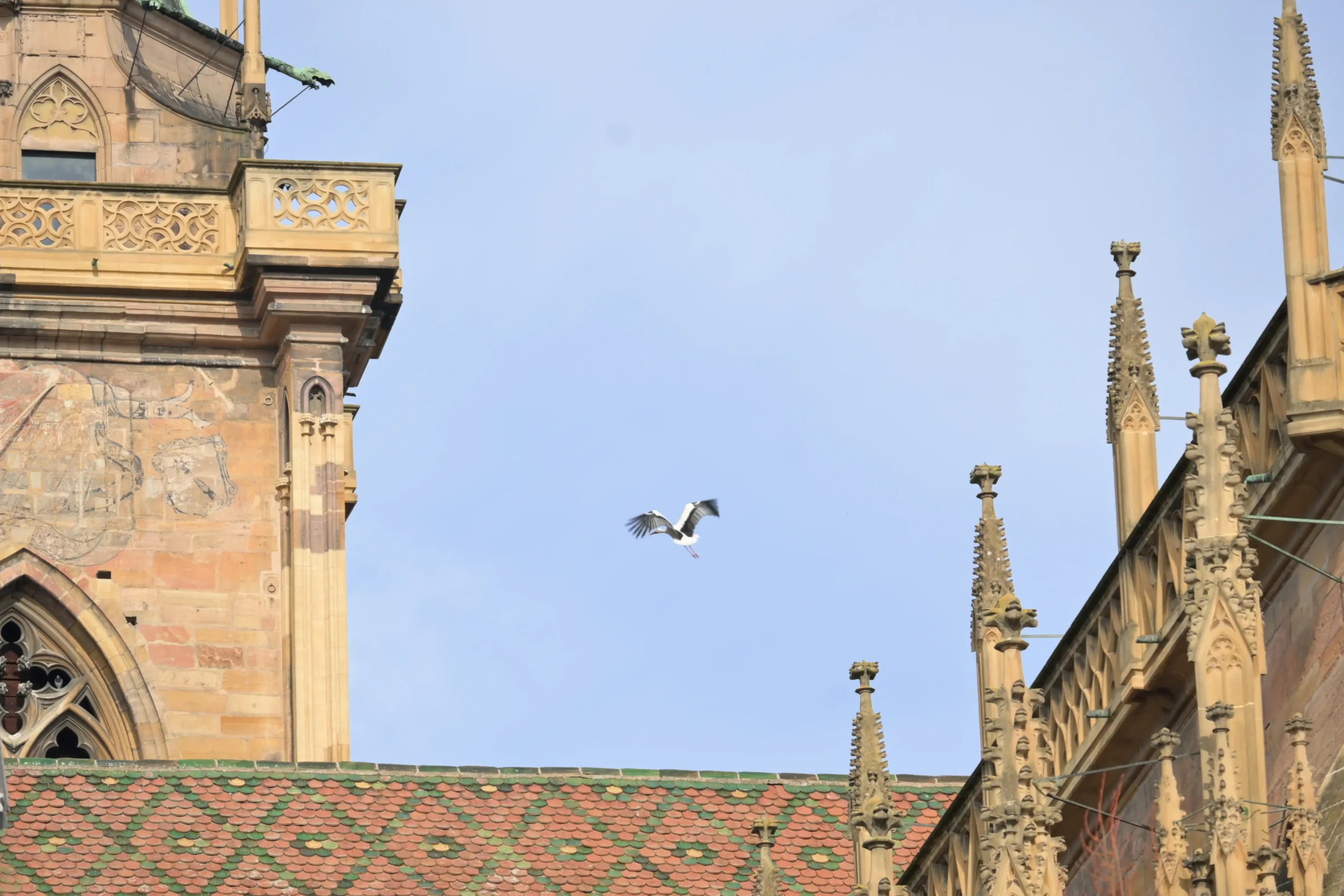 colmar